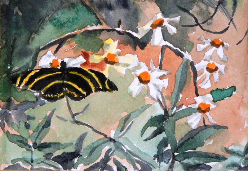 w Butterfly 11x14