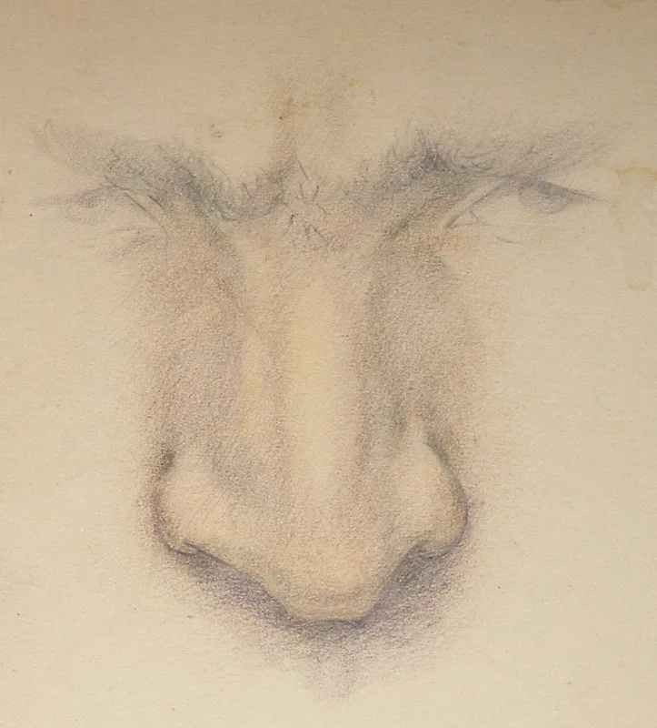 d self study 8x10