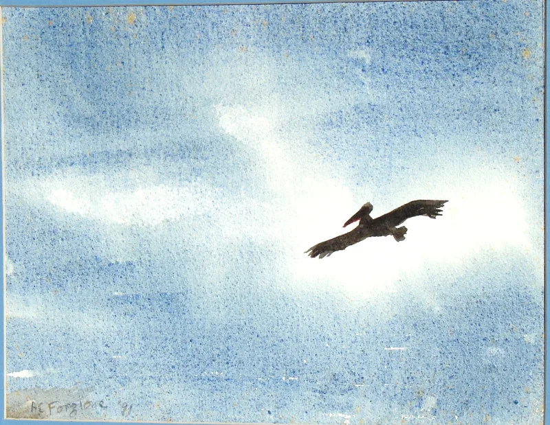 w The Christmas Pelican p.23 11x14