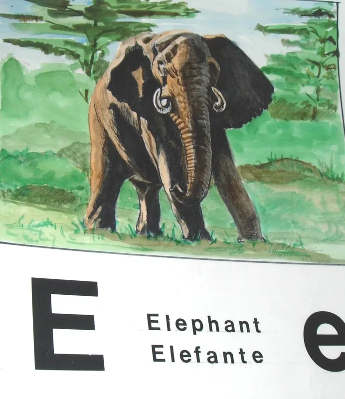 w alphabet e 11x14