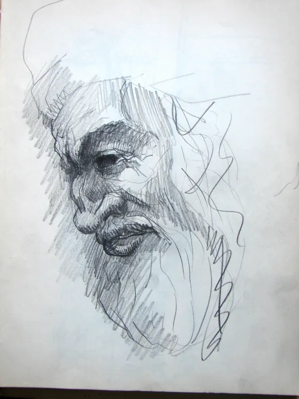 d sketchbook Bearded 9x12