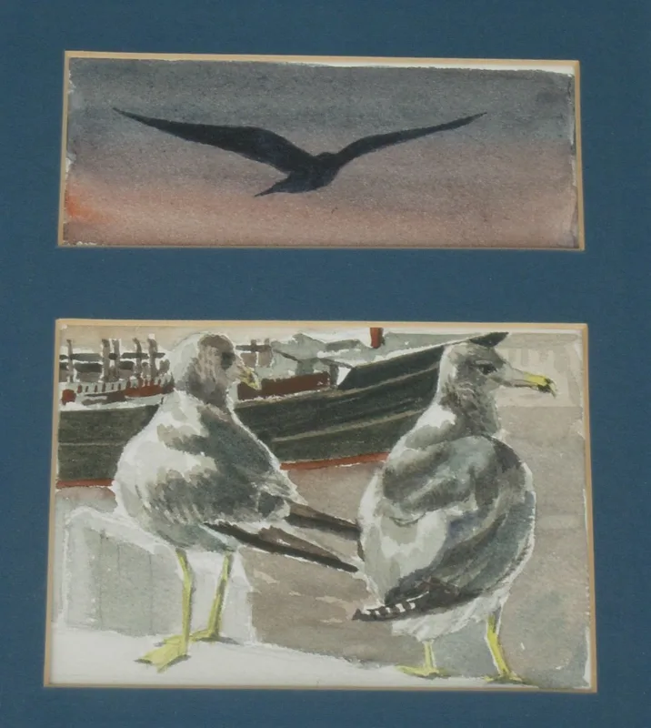 w Seagulls 8x10