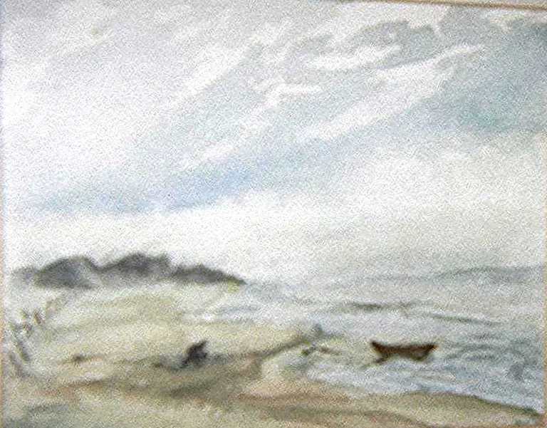 w Fog 10x12