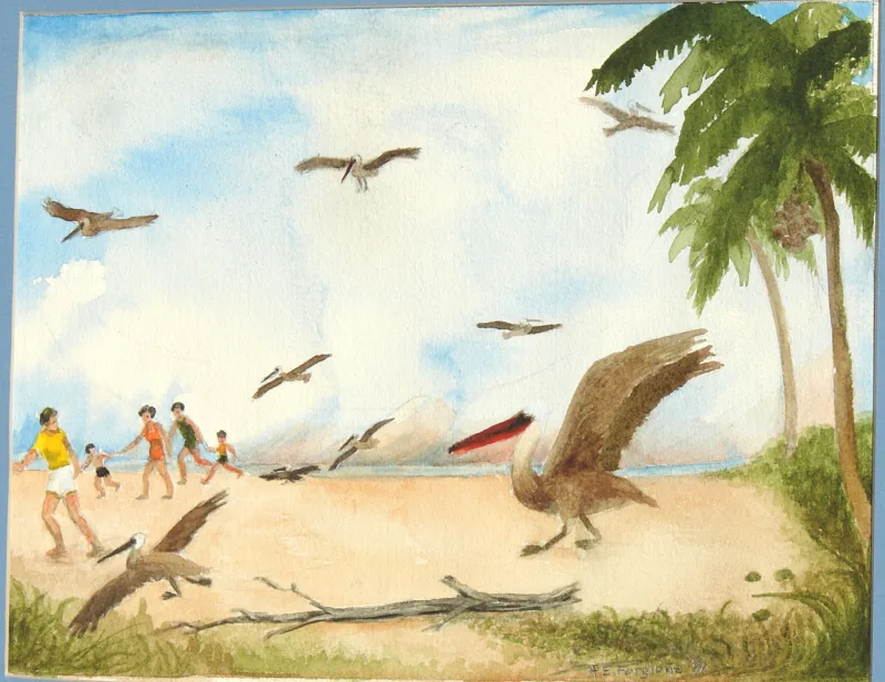 w The Christmas Pelican p.15 11x14