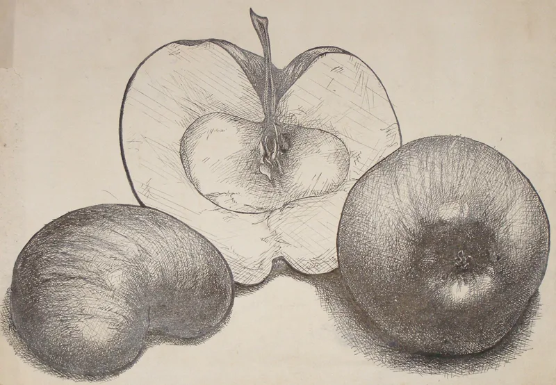 d Apples pen and ink 11x14
