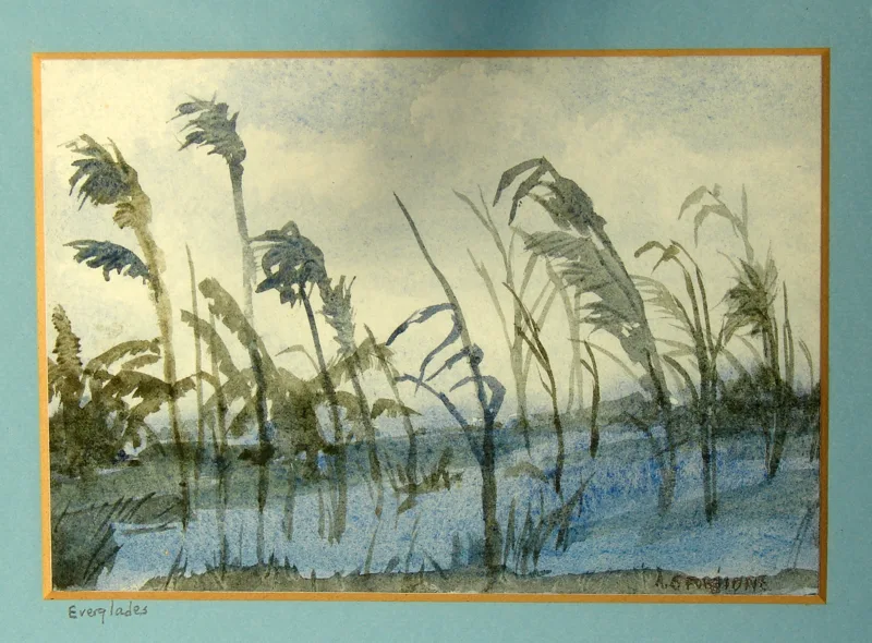 w Everglades 8x10