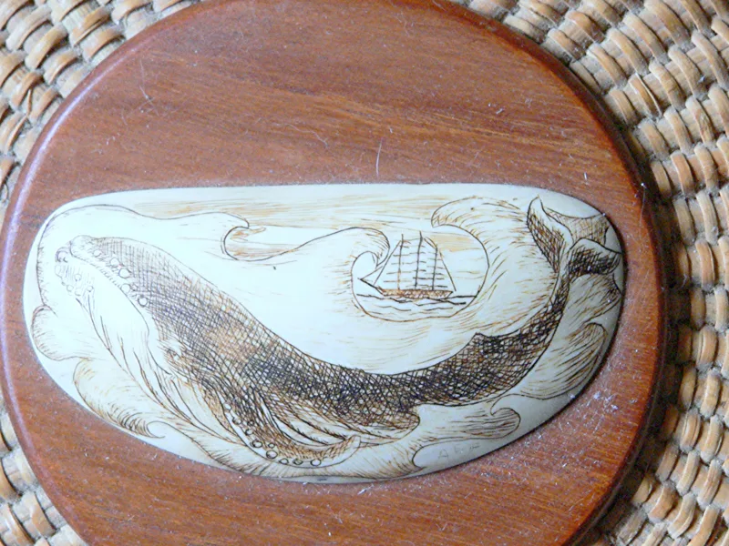 Ivory Michele's scrimshaw 6 in