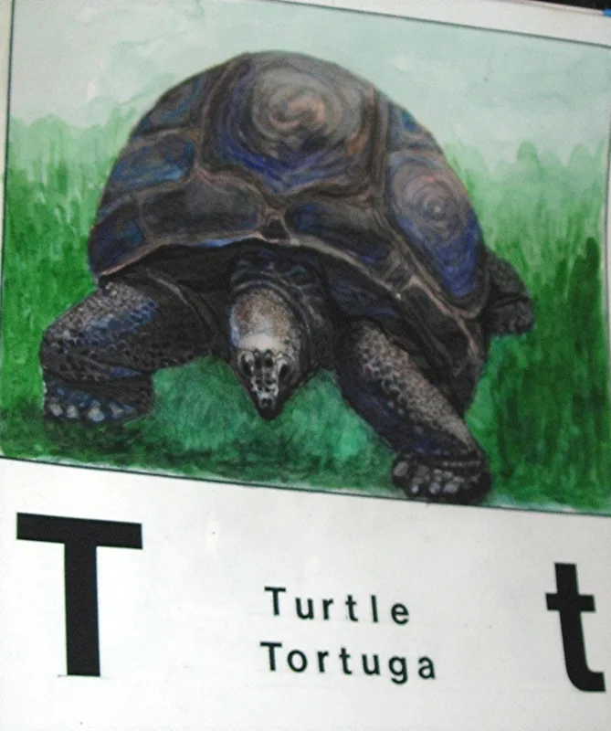 w alphabet t 11x14