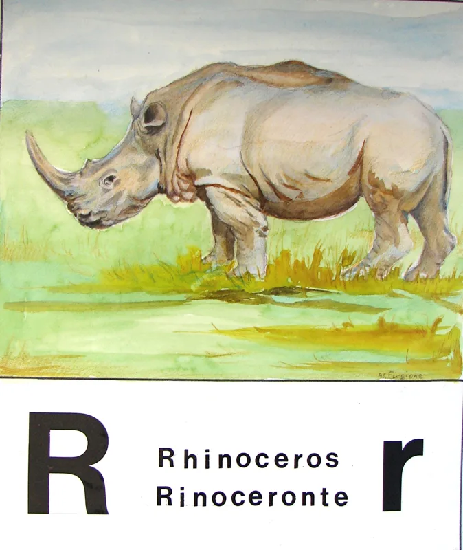w alphabet R 11x14