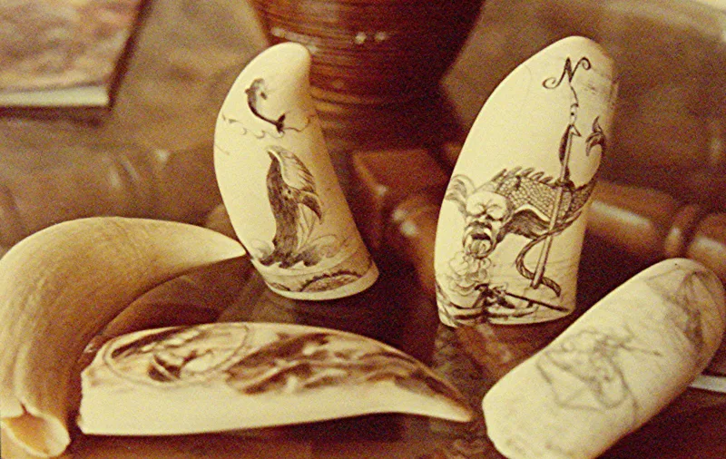 Ivory scrimshaw pieces whale teeth